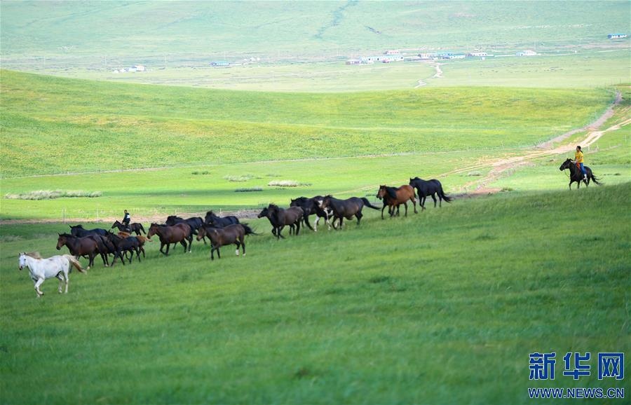(特別的暑期生活·圖片故事)(15)草原女孩錫林花的暑期“歡樂(lè)時(shí)光”