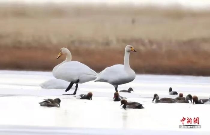 點擊進(jìn)入下一頁