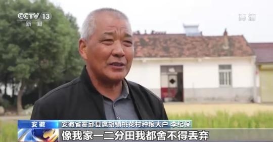 十八連豐！秋收近九成 我國(guó)糧食產(chǎn)能穩(wěn)步提升