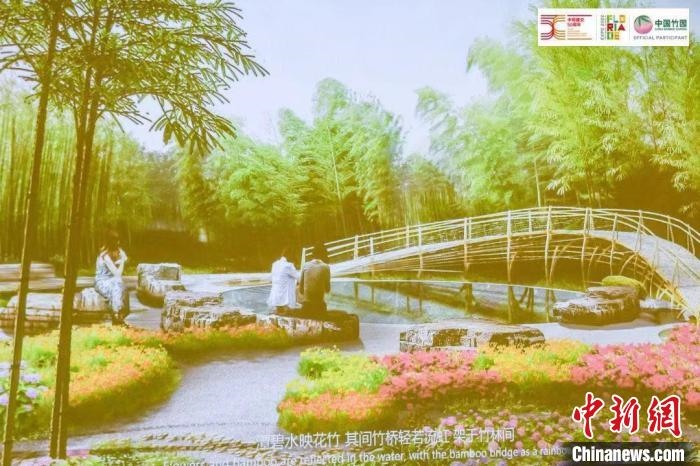 圖為活動現(xiàn)場通過視頻展示“中國竹園”設(shè)計方案。　荷蘭駐華大使館供圖