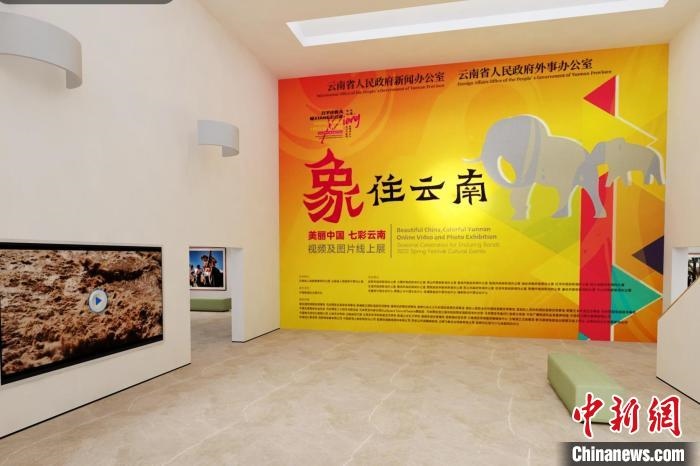 圖為“象”往云南——美麗中國(guó) 七彩云南視頻及圖片線(xiàn)上展截圖?！『h(yuǎn)航 攝