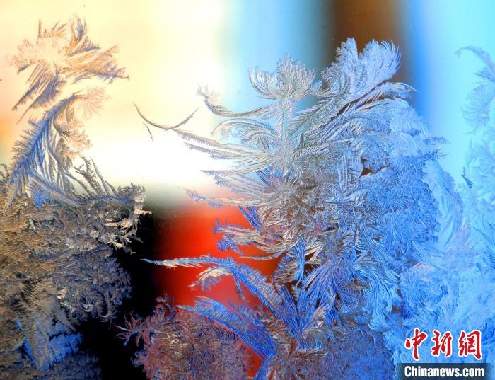 冰窗花千姿百態(tài)。　孫書程 攝