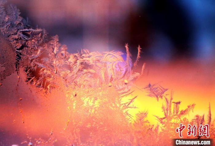 迎著光亮，冰窗花絢麗多姿?！O書程 攝