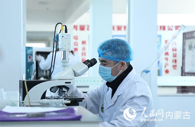 內(nèi)蒙古中農(nóng)興安種?？萍加邢薰韭鋺艨朴抑衅?，為肉牛產(chǎn)業(yè)發(fā)展提供了優(yōu)質(zhì)的種源保障。白俊華攝