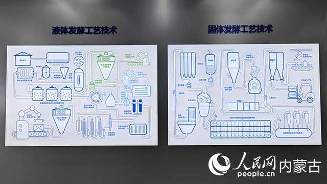 科拓生物工藝技術(shù)展示。人民網(wǎng)記者 張雪冬攝
