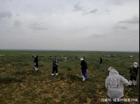 1604389143399488.jpeg 8187_1.jpeg