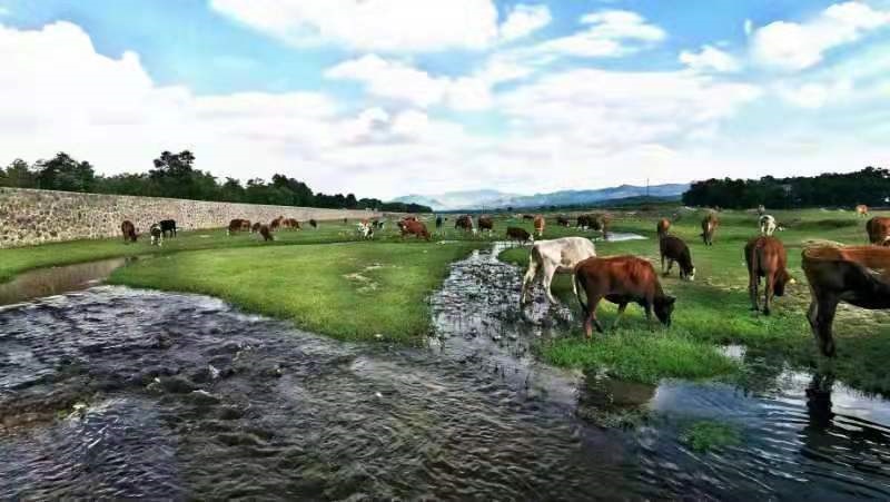 1615872010462109.jpg 微信圖片_20210316131803.jpg