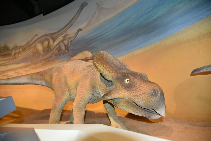 1621332132558533.jpg 原角龍.JPG