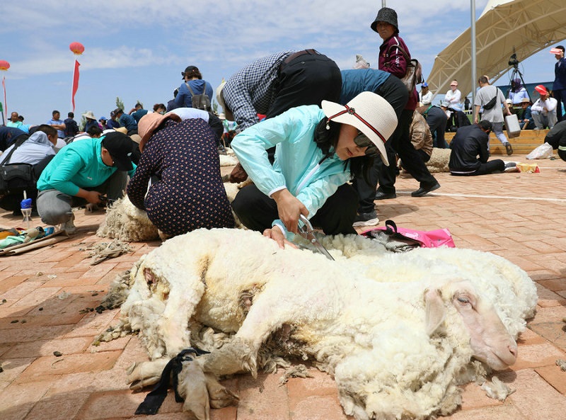 1623464873935331.jpg 7O5A3648.jpg