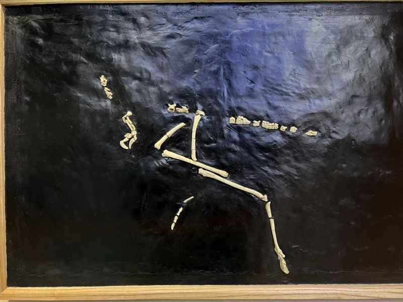 1648200734106460.png 圖片4.png