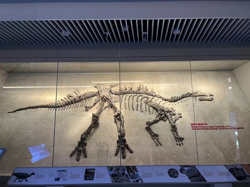 1648201381866014.png 圖片4.png