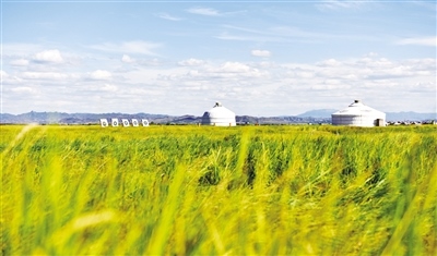 1652672108770742.jpeg 3eee691918e8041db45b21d1e4140610.jpeg