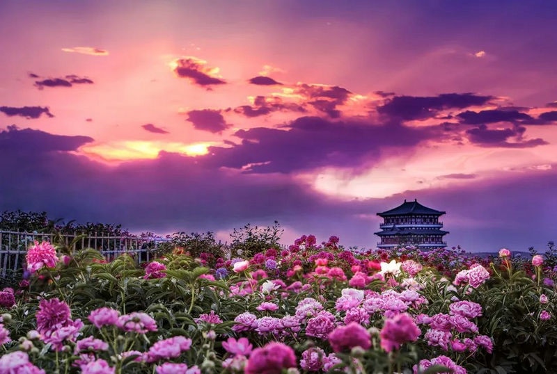 1653527459462978.jpg 微信圖片_20220526090816_副本.jpg