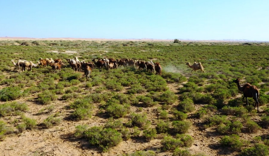 1663238160115893.png 2ad47d5fefcd4fe18edef7c503bd3915_noop.png