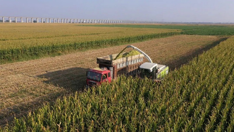 1665979892109158.jpg 微信圖片_20221017121020.jpg