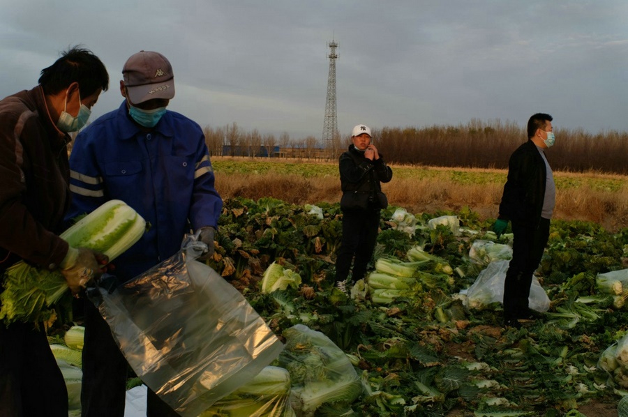 1667662584715919.jpg 微信圖片_20221105231437.jpg