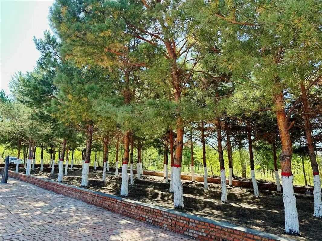 1694440099178883.jpeg WechatIMG1477.jpeg