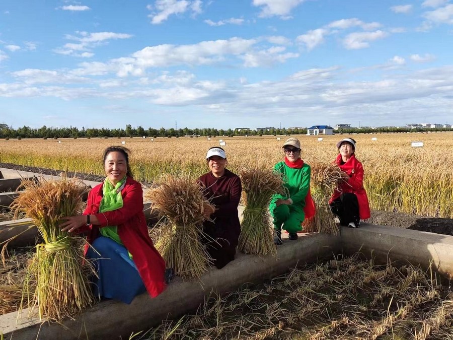 1698117778425627.png 2.png