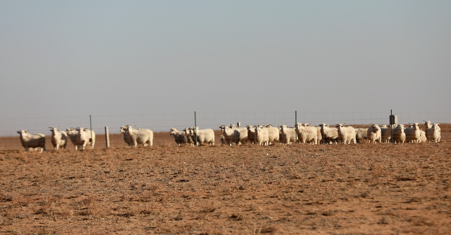 1702311451939168.jpg 7O5A9442.jpg