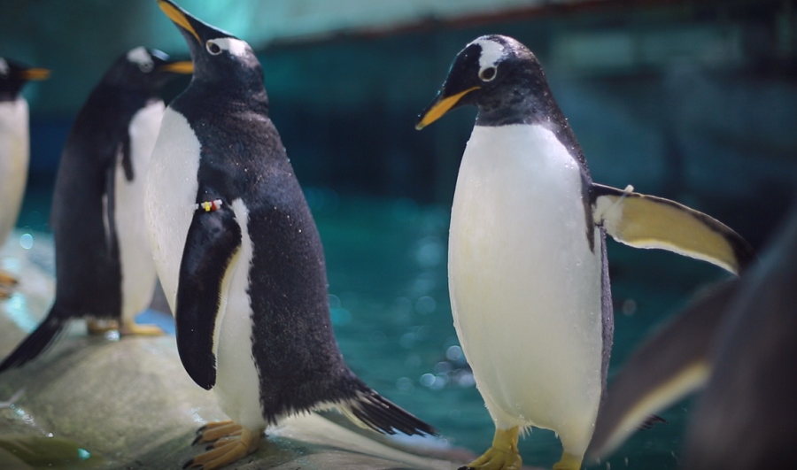 1704447071900913.png 3.png