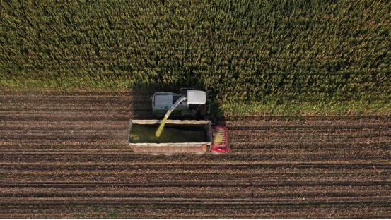 1707316241920019.png 9bbf05b6050d98980688ee7582204eb7597.png