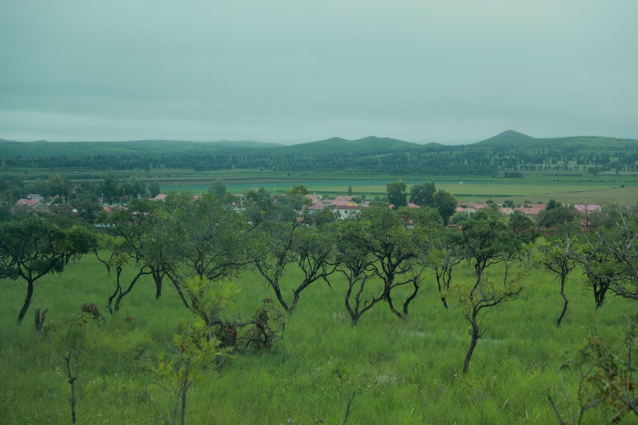 1722463486101606.jpg 7O5A0484.jpg