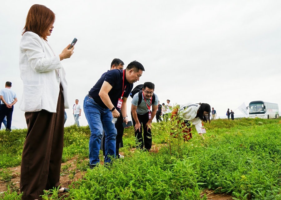 1725186428586049.jpg 20240901182213.jpg