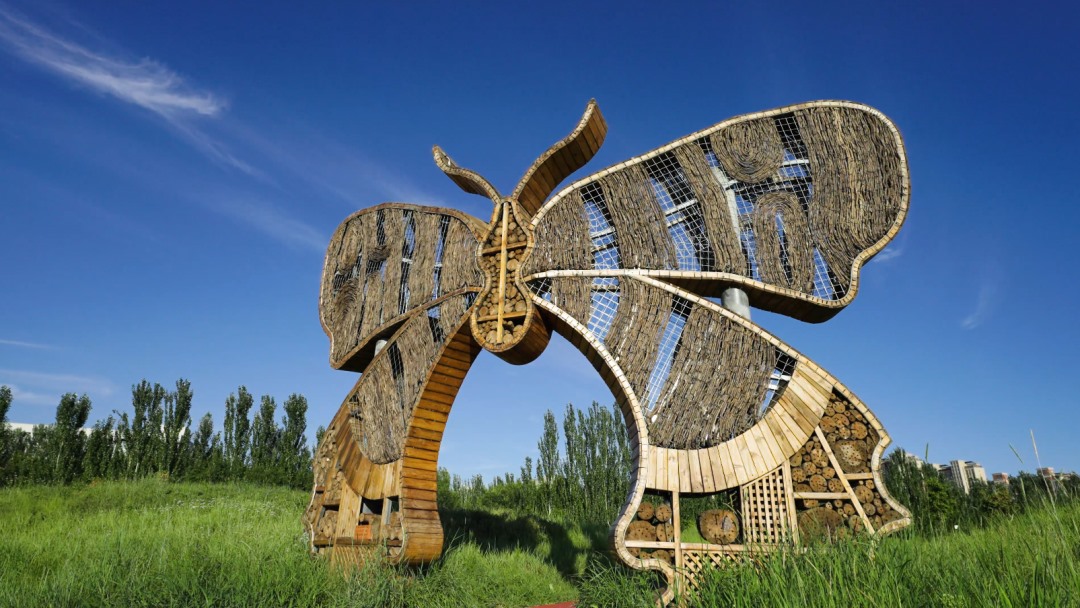 1731424924247346.png 06.png