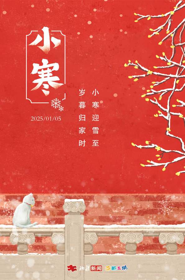 1735888310712477.jpg _DSC2271.JPG