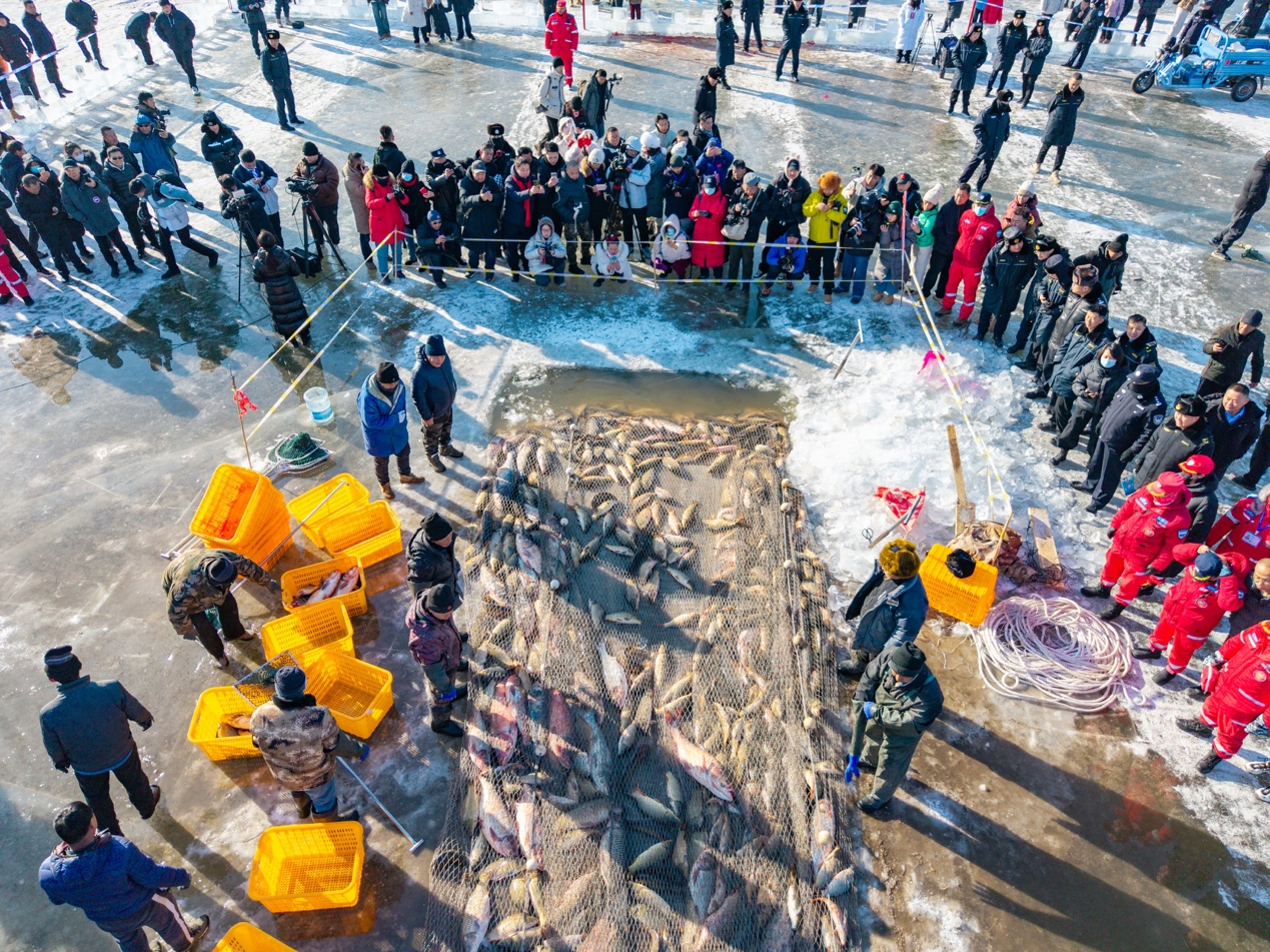 1736501842121392.png 圖片3.png