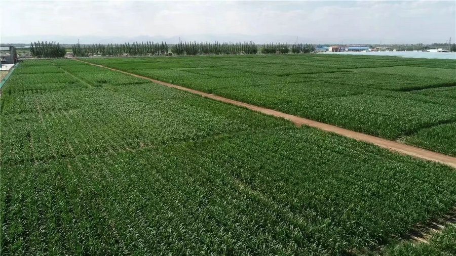 1736739088591600.jpg 3-2.jpg