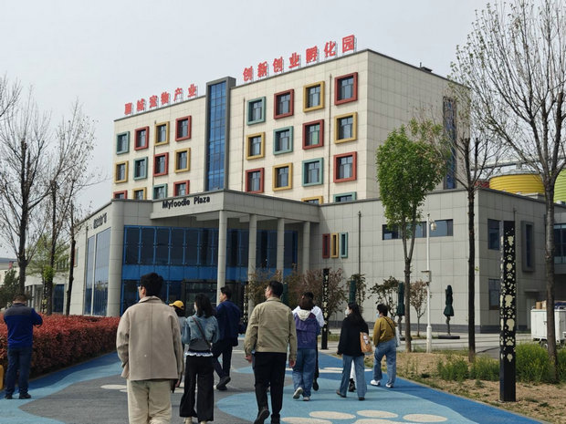 1744420258137340.jpg 萌寶2.jpg