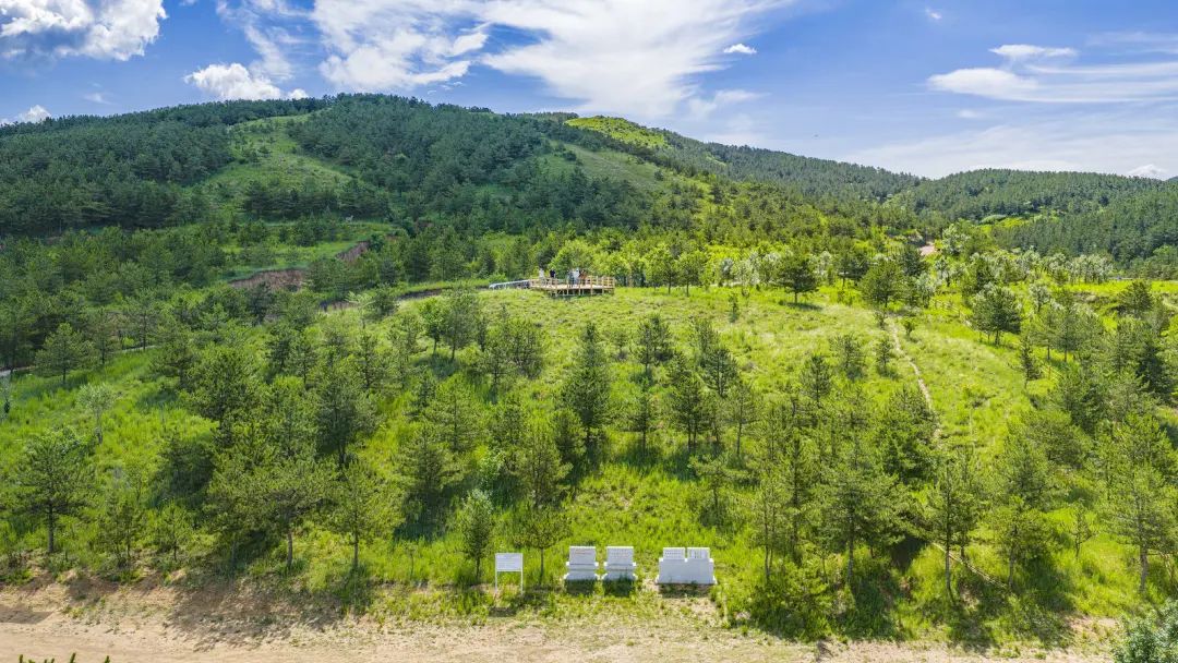 1756306427797895.jpg 055.jpg