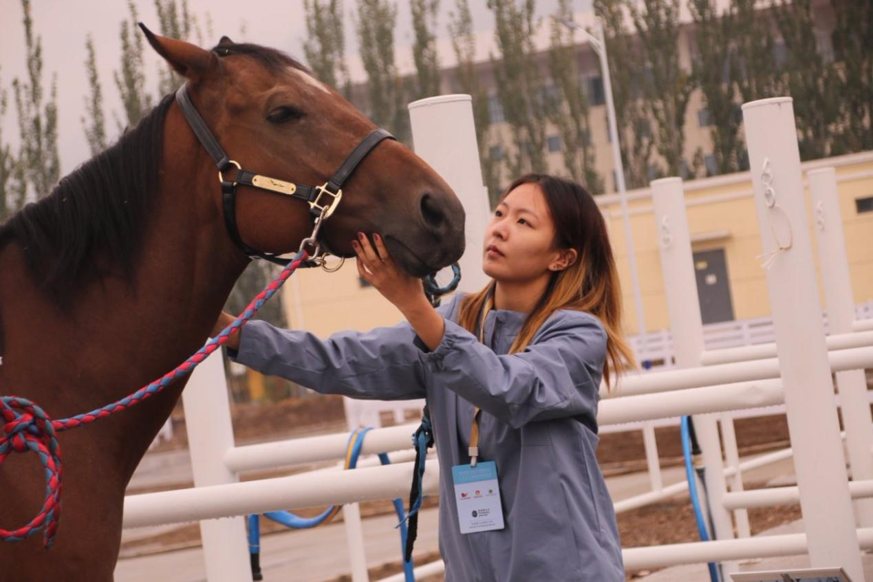 1760024309472919.png 圖片4.png