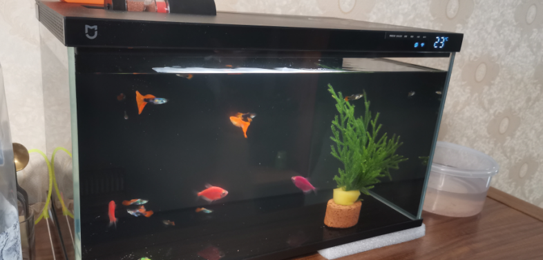 1760050225727839.png 圖片15.png