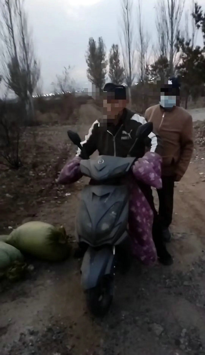 1763105413710841.jpg 葵花2.jpg