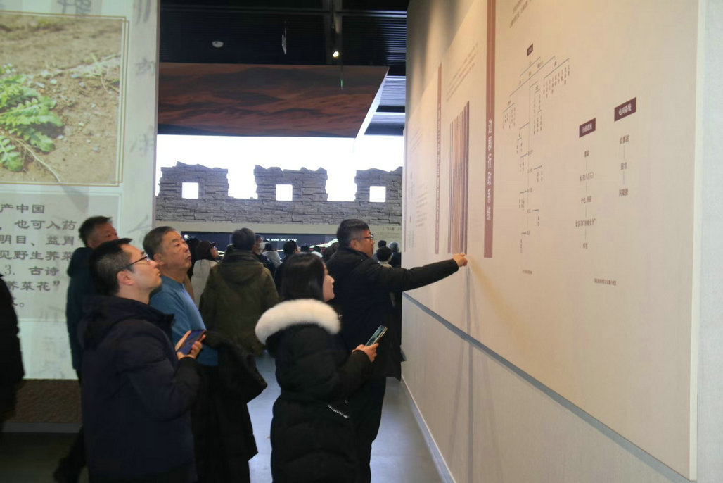 1766915114122954.jpg 巨巖2.jpg