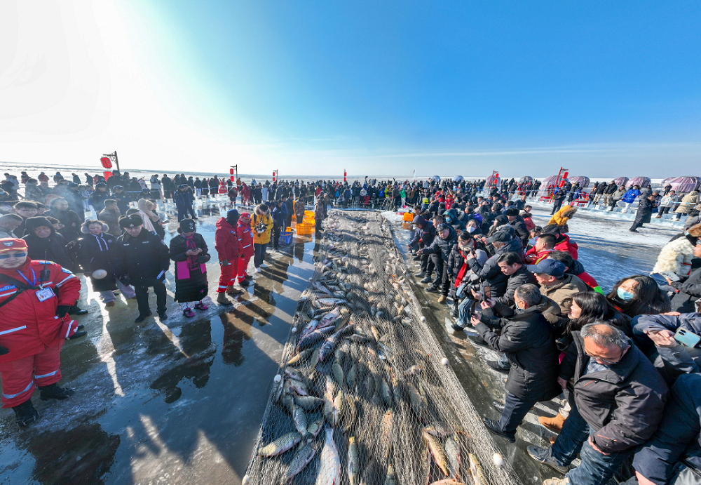 1767601842460784.png 004.png