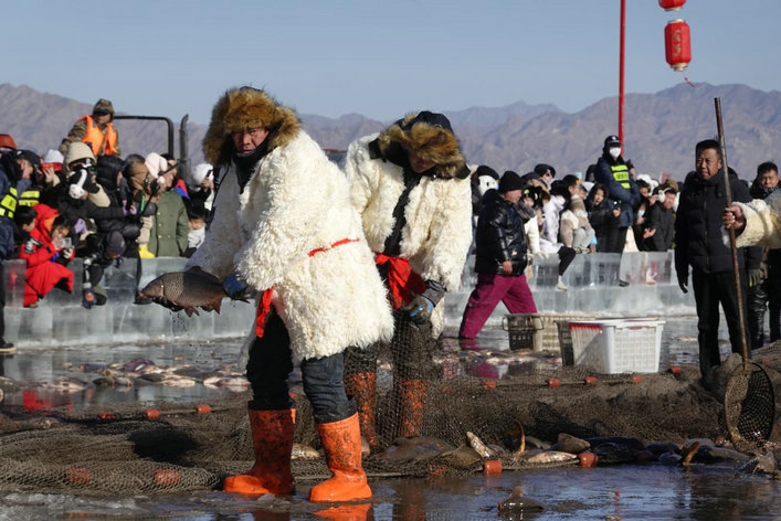 1768046443198075.jpg 魚(yú)3.jpg