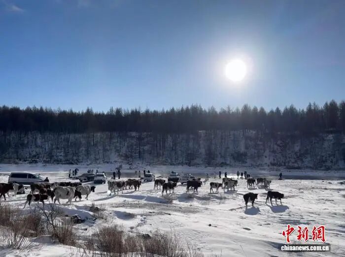 1769414914267657.jpg 阿爾山不凍河吸引游客打卡吳桐攝.jpg