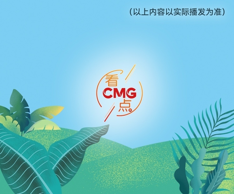 總臺周看點，來了！