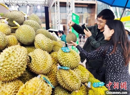 圖為廣西南寧市民在選購榴蓮。黃艷梅 攝