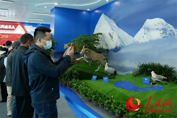 6月17日，觀(guān)眾正在觀(guān)展。人民網(wǎng) 韋衍行攝