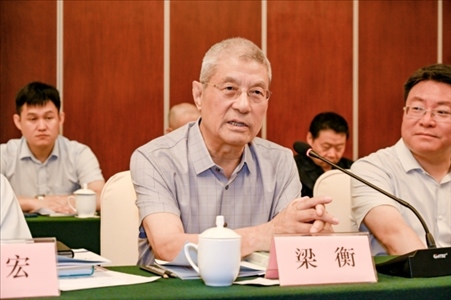 中國林業(yè)生態(tài)作家協(xié)會名譽(yù)主席梁衡發(fā)言。主辦方供圖