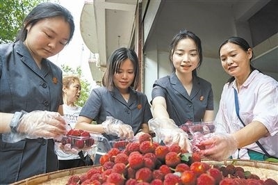 志愿者和村民一起將摘下的楊梅裝進(jìn)食品盒里。