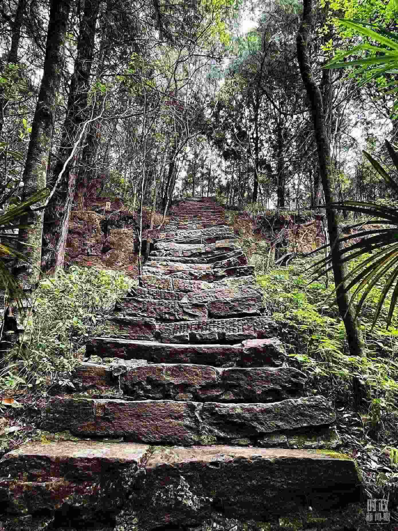 △古蜀道。（總臺央視記者郭曉龍拍攝）