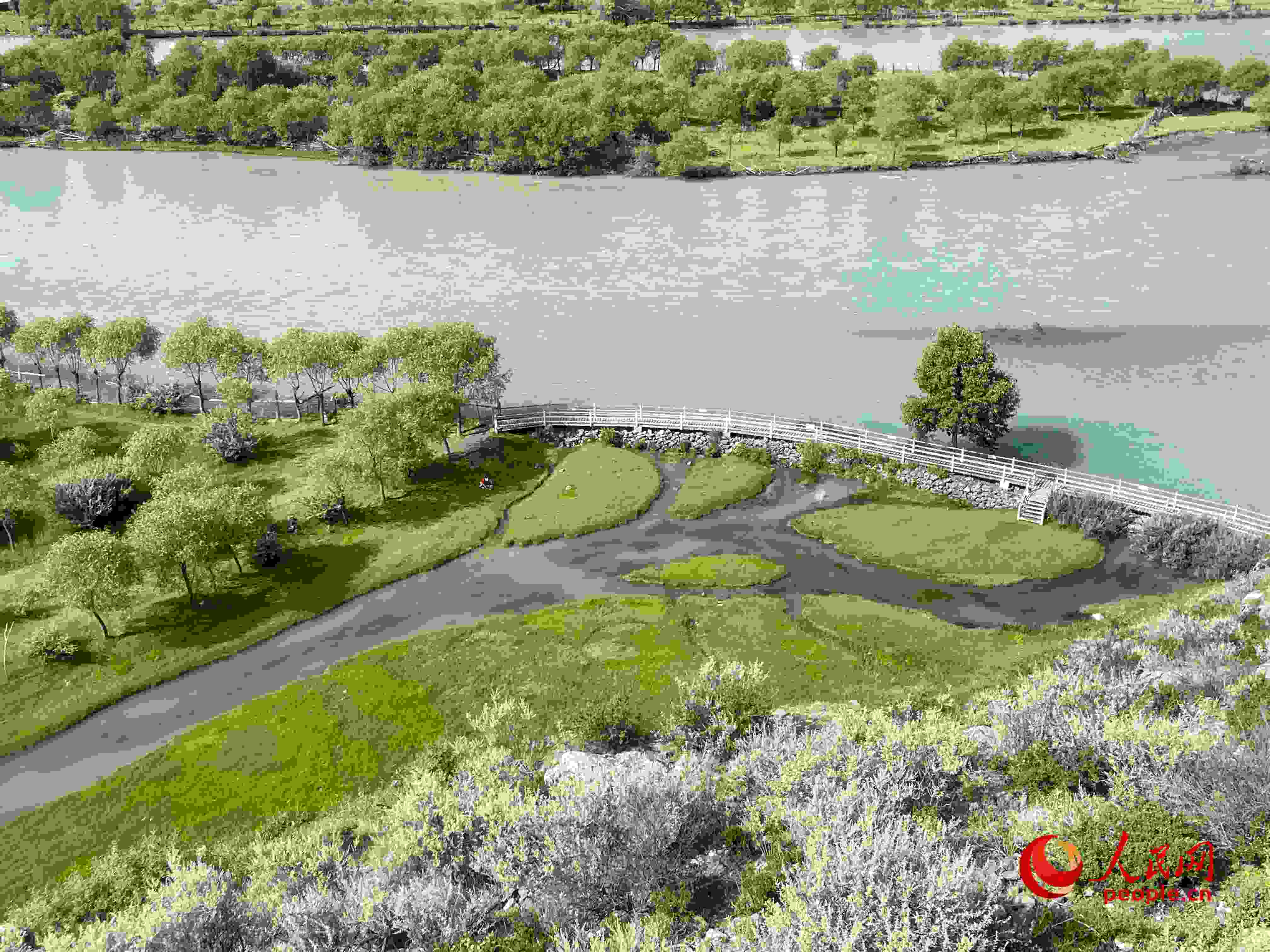 夏日的雅尼國家濕地公園生機(jī)盎然，如詩如畫。人民網(wǎng) 周靜圓攝