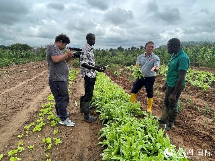 人民網(wǎng)記者走進(jìn)尼日利亞農(nóng)業(yè)技術(shù)示范中心。人民網(wǎng)記者 趙艷紅攝