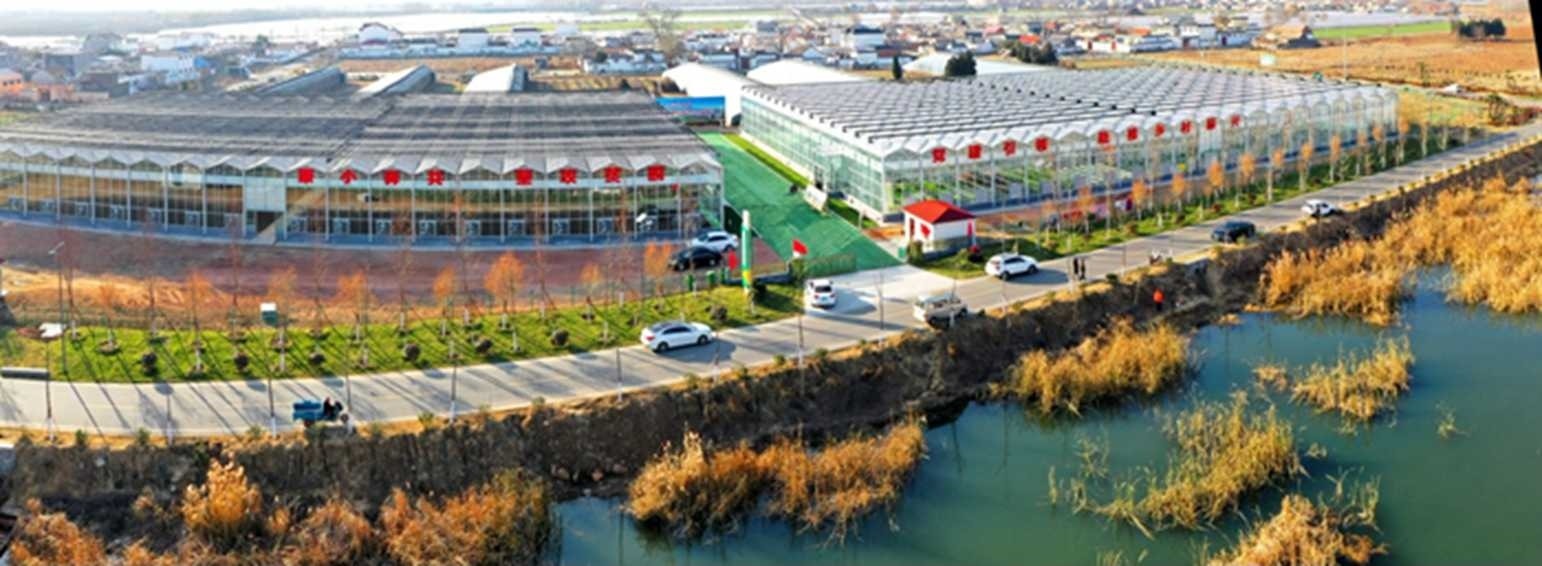 白樓灣三產(chǎn)融合發(fā)展。宋道森攝