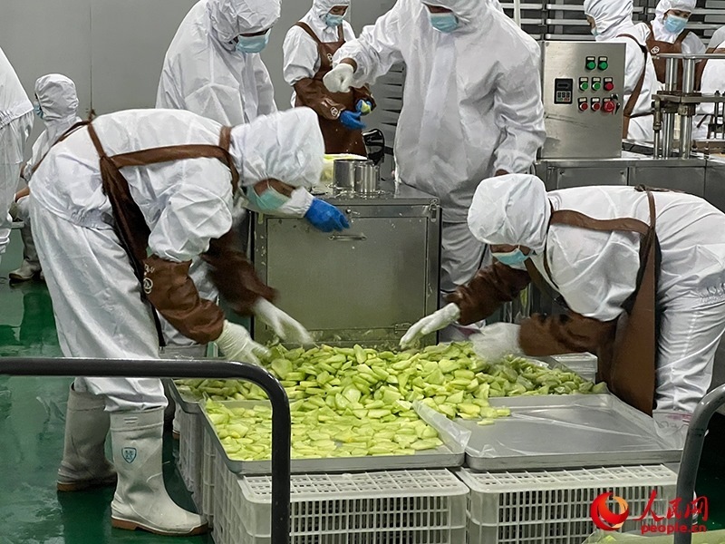 切片哈密瓜將被做成凍干食品。人民網(wǎng)記者 常雪梅攝